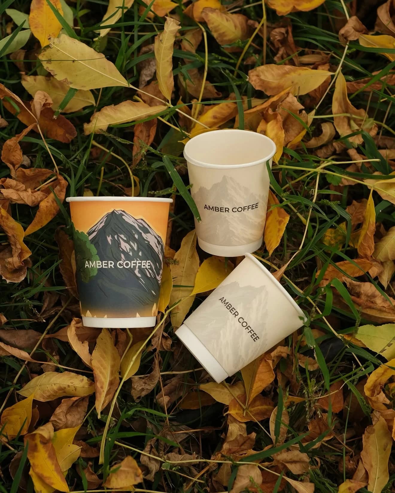 Amber Coffee