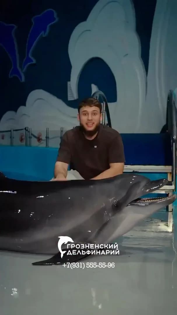 Грозненский дельфинарий