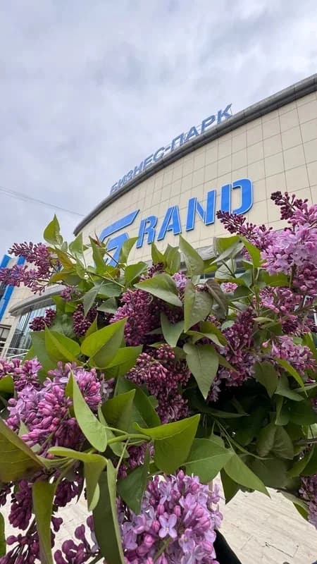 Бизнес парк Grand