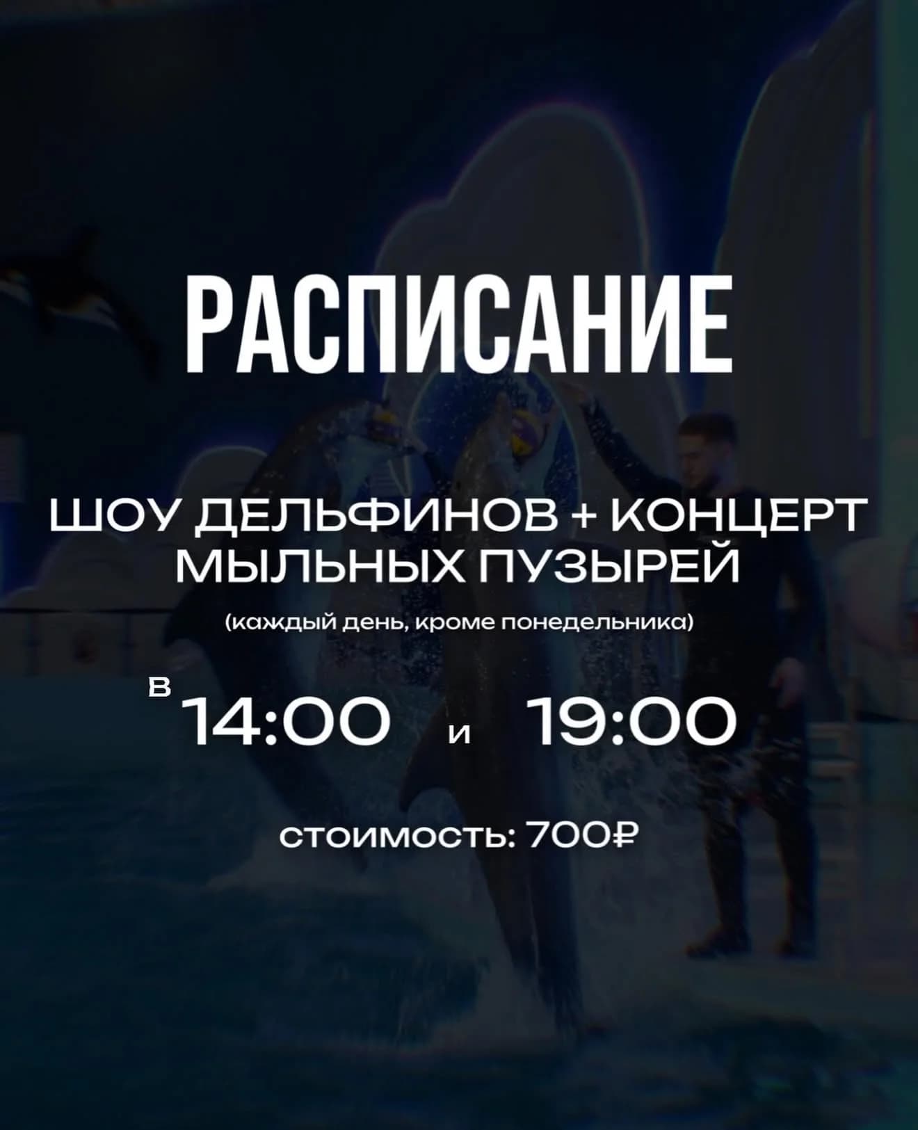 Грозненский дельфинарий