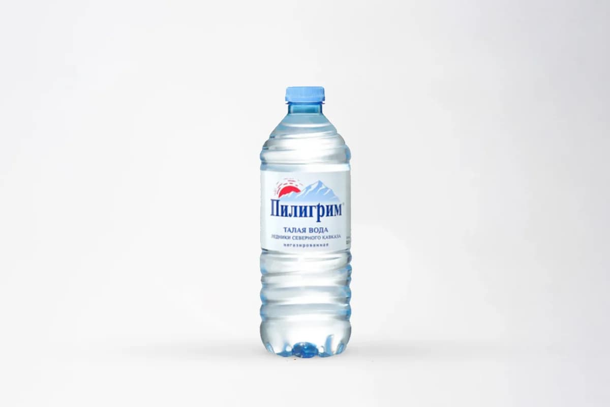 Пилигрим